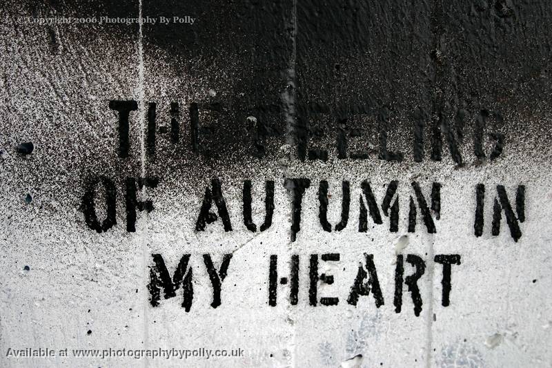 Autumn In My Heart