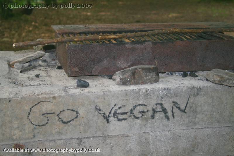 Go Vegan 5