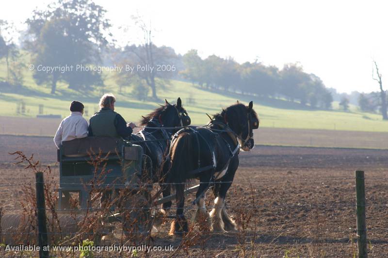 Plough And Scatter