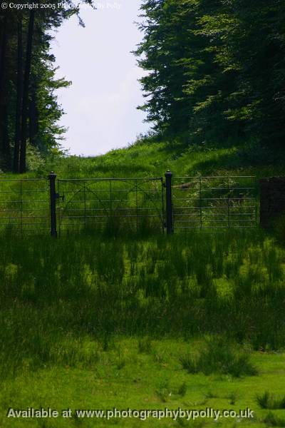 Deer Gate