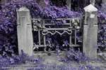 Purple Crypt