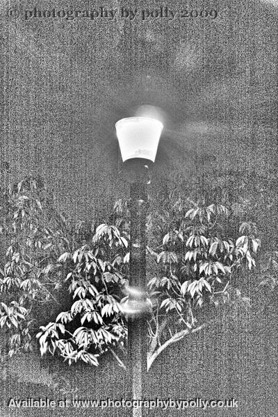 Lamp Light 3