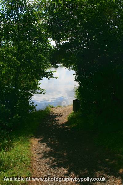 Pond Path