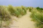 Sand Path
