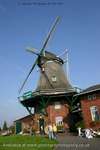Windy Windmill