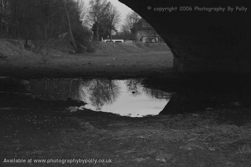 Tree Bridge Reflection