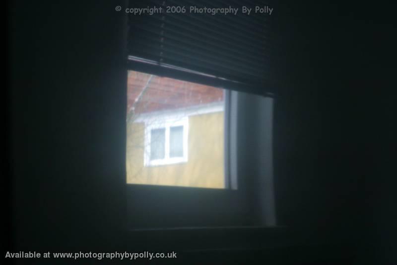 Window Through Window Through Telly