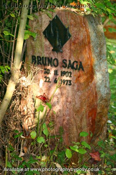 Bruno Saga