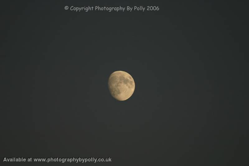 Bognor Moon